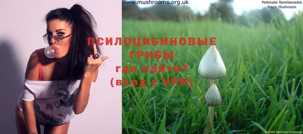 дурь Лихославль