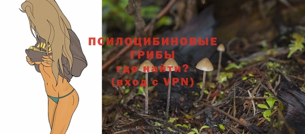 твердый Ладушкин