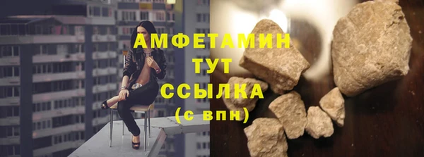 прущие грибы Лабытнанги
