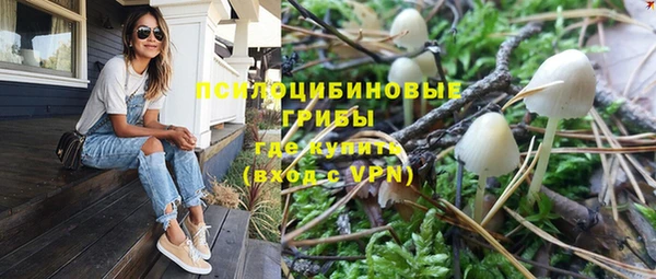 твердый Лагань