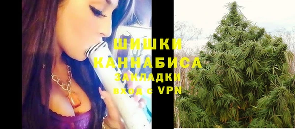 винт Липки