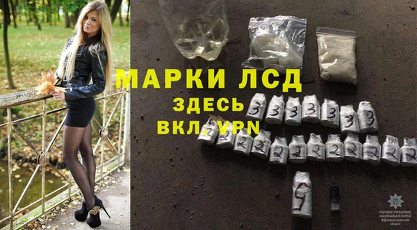 твердый Лагань