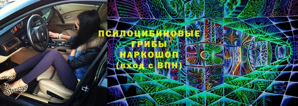 винт Липки
