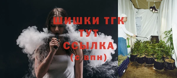 винт Липки